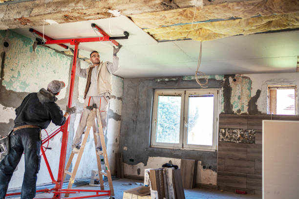 Best Cellulose Insulation in Altoona, IA